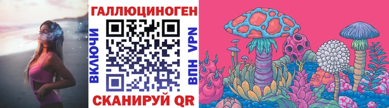 Галлюциногенные грибы Psilocybe  Искитим 