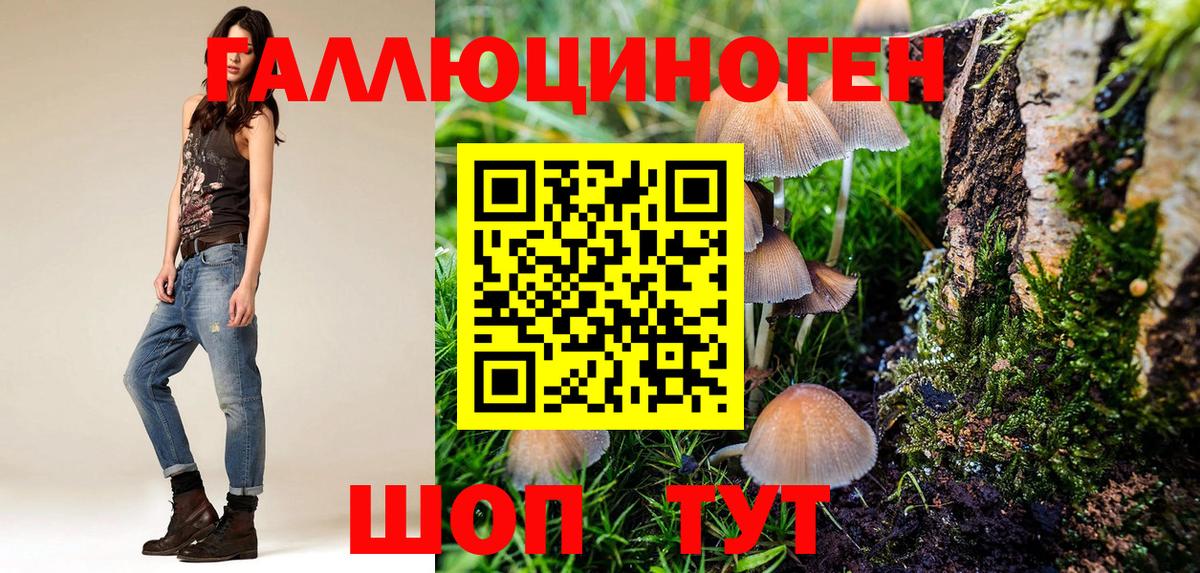 Галлюциногенные грибы мицелий Искитим